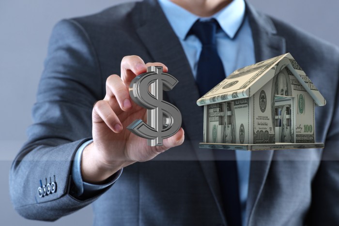 Loans